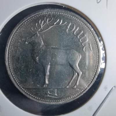 沼泽如烟--第970场 - 爱尔兰1999年一磅