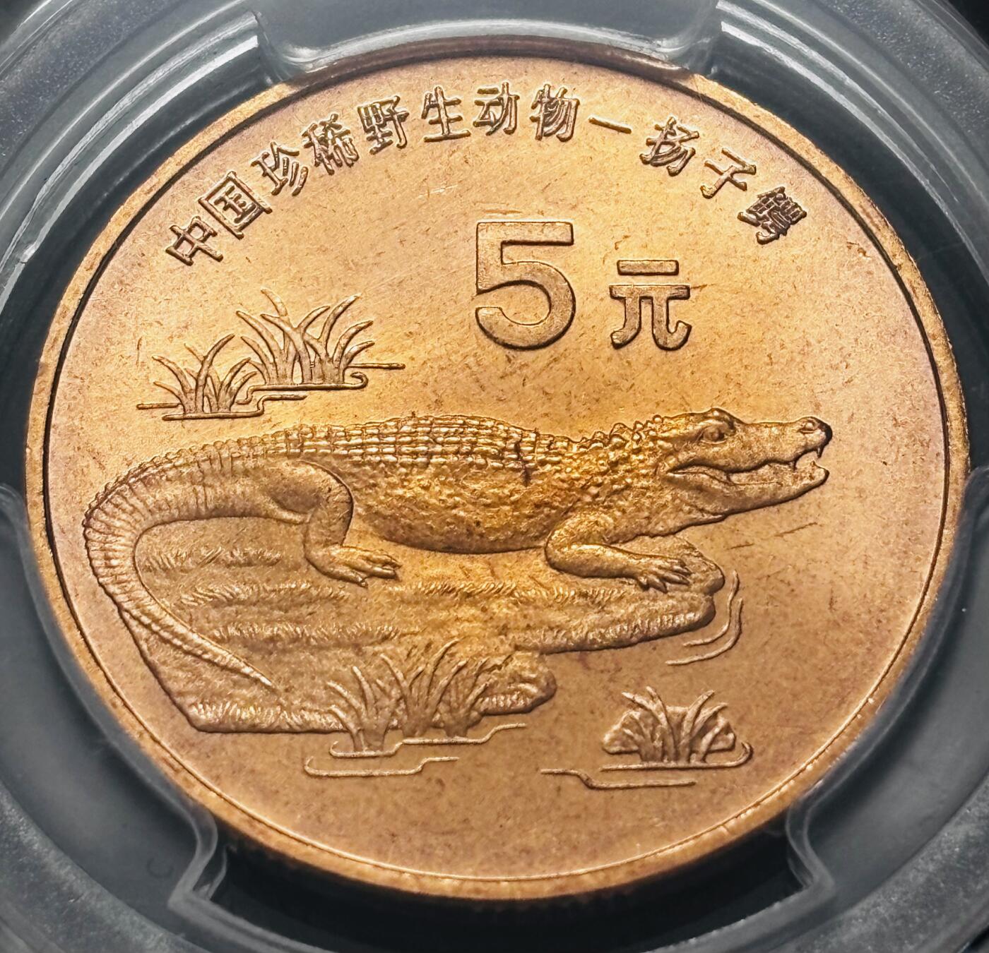文馨钱币收藏 2026新年第四场（第 290 场）【长期接代拍品】 PCGS 评级 MS67RD1998 年中国珍稀野生动物扬子鳄五元纪念铜币，原铜光满状态