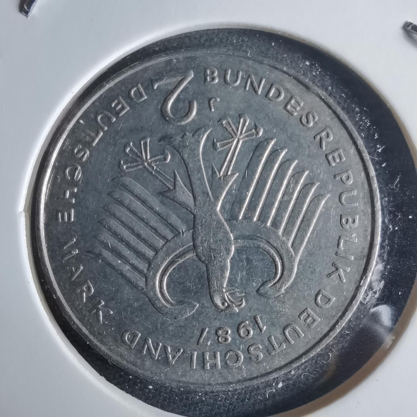 沼泽如烟--第970场