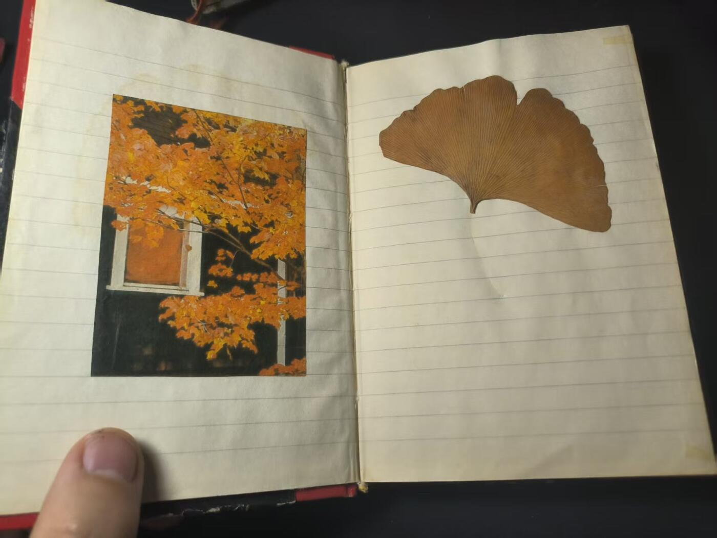 罗岚⭐爱藏⭐甄选专拍第四场-分享拍场赚佣（实体经营） 七十年代硬壳笔记本 内容丰富