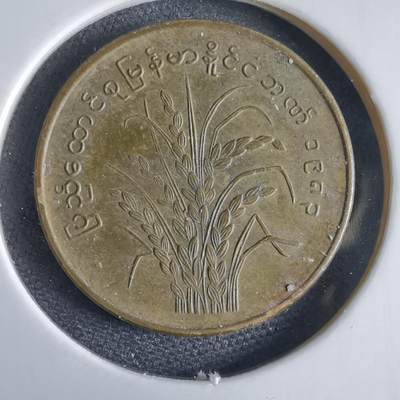 沼泽如烟--第969场 - 缅甸