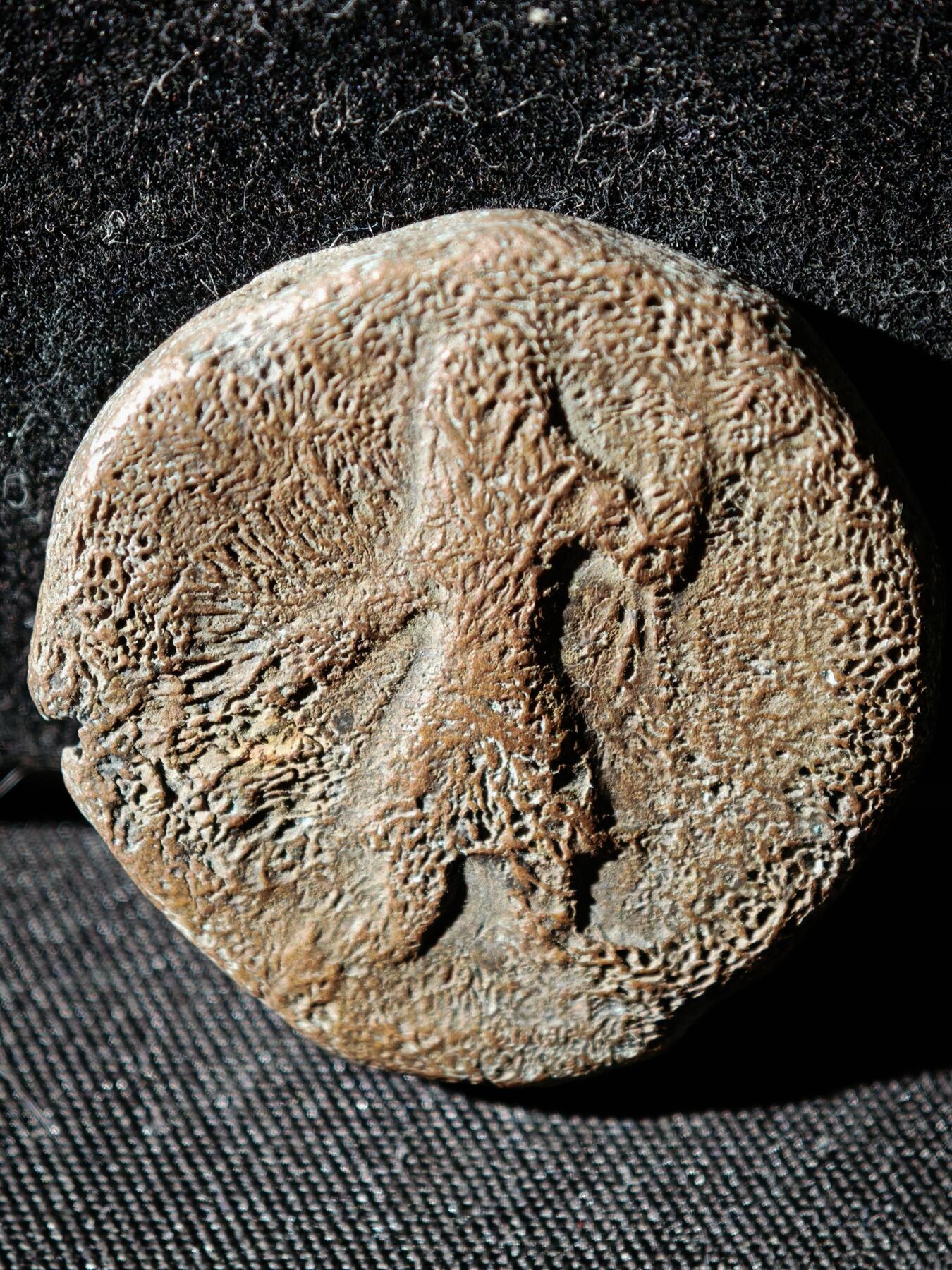 110期新疆红钱粟特钱币丝路钱币专场 A丝路铜币