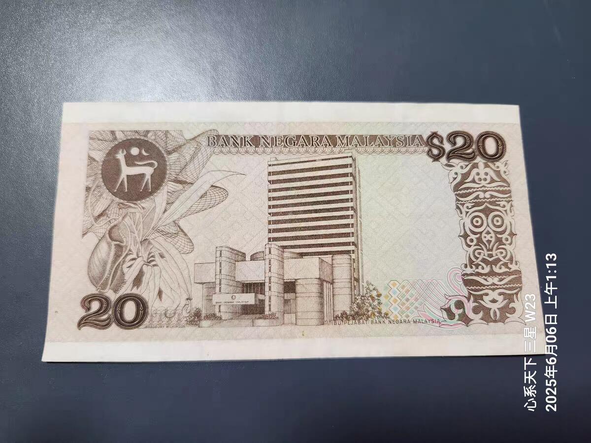 1月21号晚上8点 外国纸币自动截拍第10场