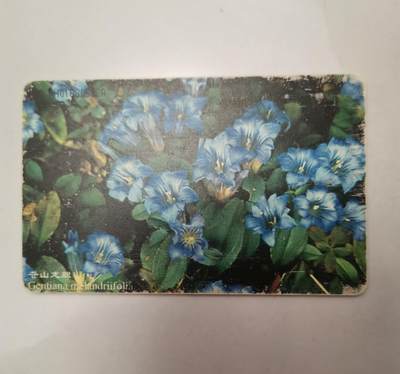 流金岁月•腊八八宝集锦集粹 - 1998年“苍山龙胆”电话卡