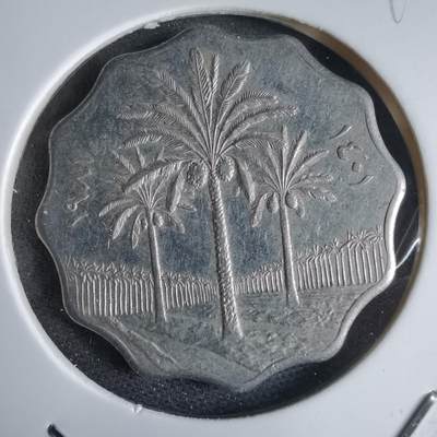 沼泽如烟--第969场 - 伊拉克