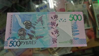 【新年十拍】世界钱币～微拍第231期暨2026年第10期  最新版日元目录以及其它外钞（周末起更新） - 2009年白俄罗斯500卢布 全新绝品无4尾号769