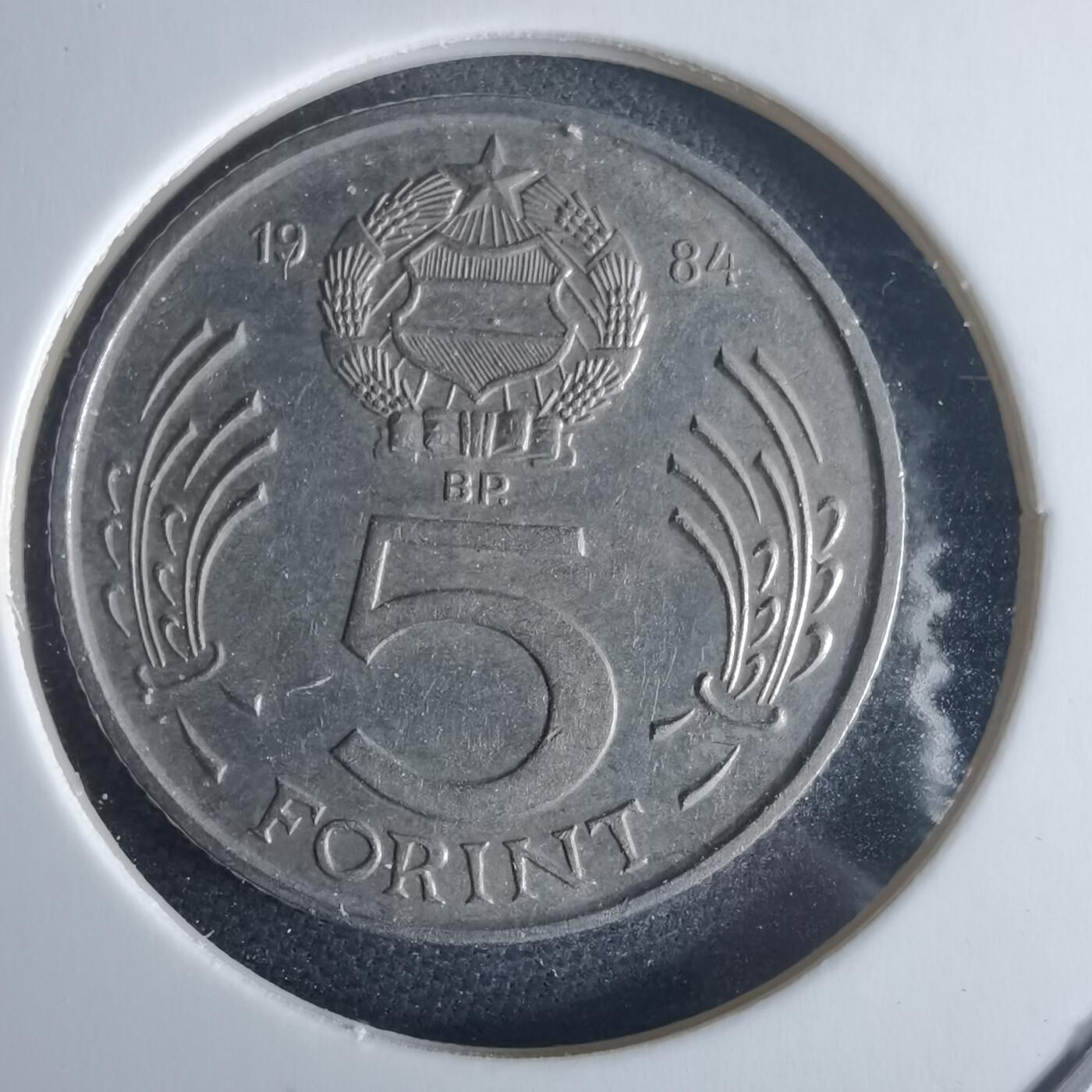 沼泽如烟--第970场