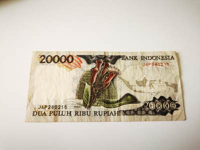 零零发流通品外国纸币拍卖 无佣金 - 印尼2万针眼