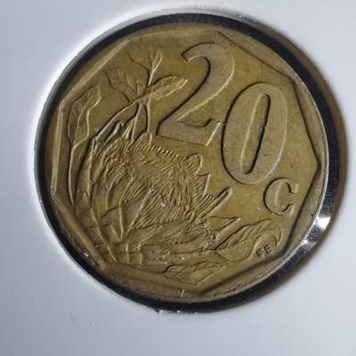 沼泽如烟--第969场 - 南非1997年20分