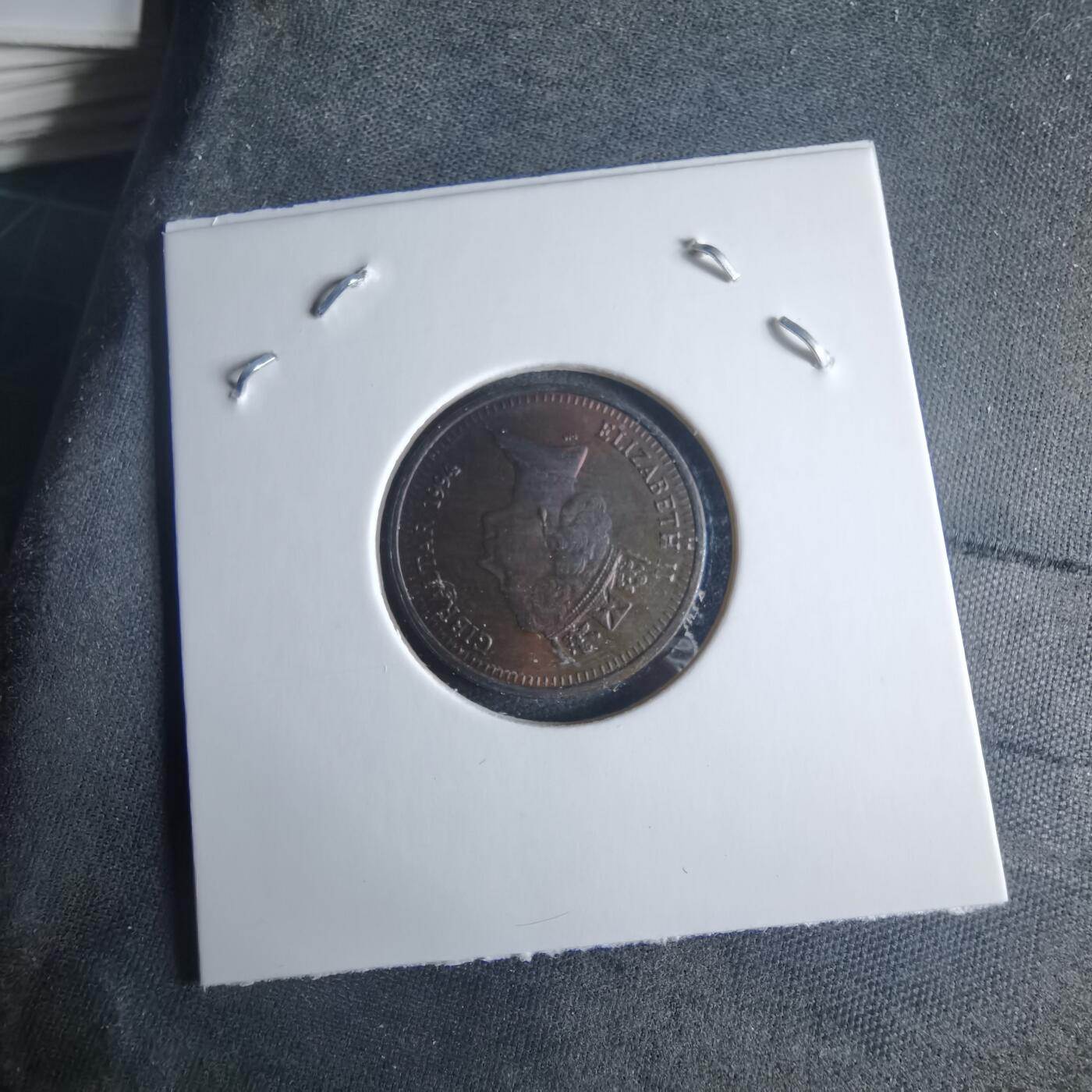 沼泽如烟--第970场