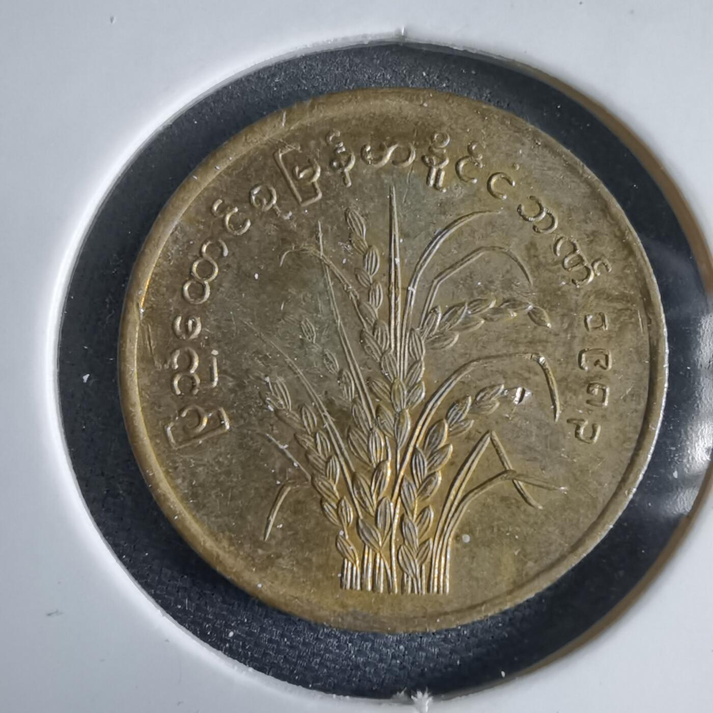 沼泽如烟--第969场 缅甸