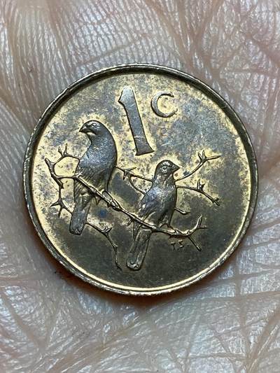 2026年第十三场(总第一百八十二场）外国好品散币场(免佣金) - 南非🇿🇦1968年1分(独立后第三套，布尔语版)