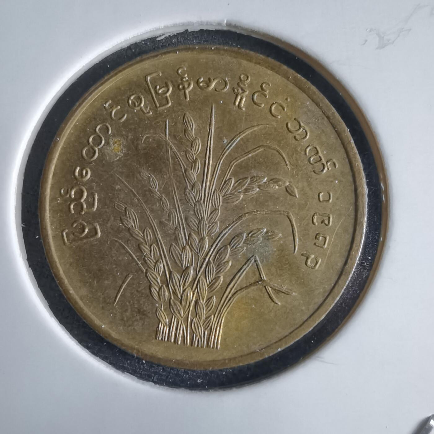 沼泽如烟--第969场 缅甸