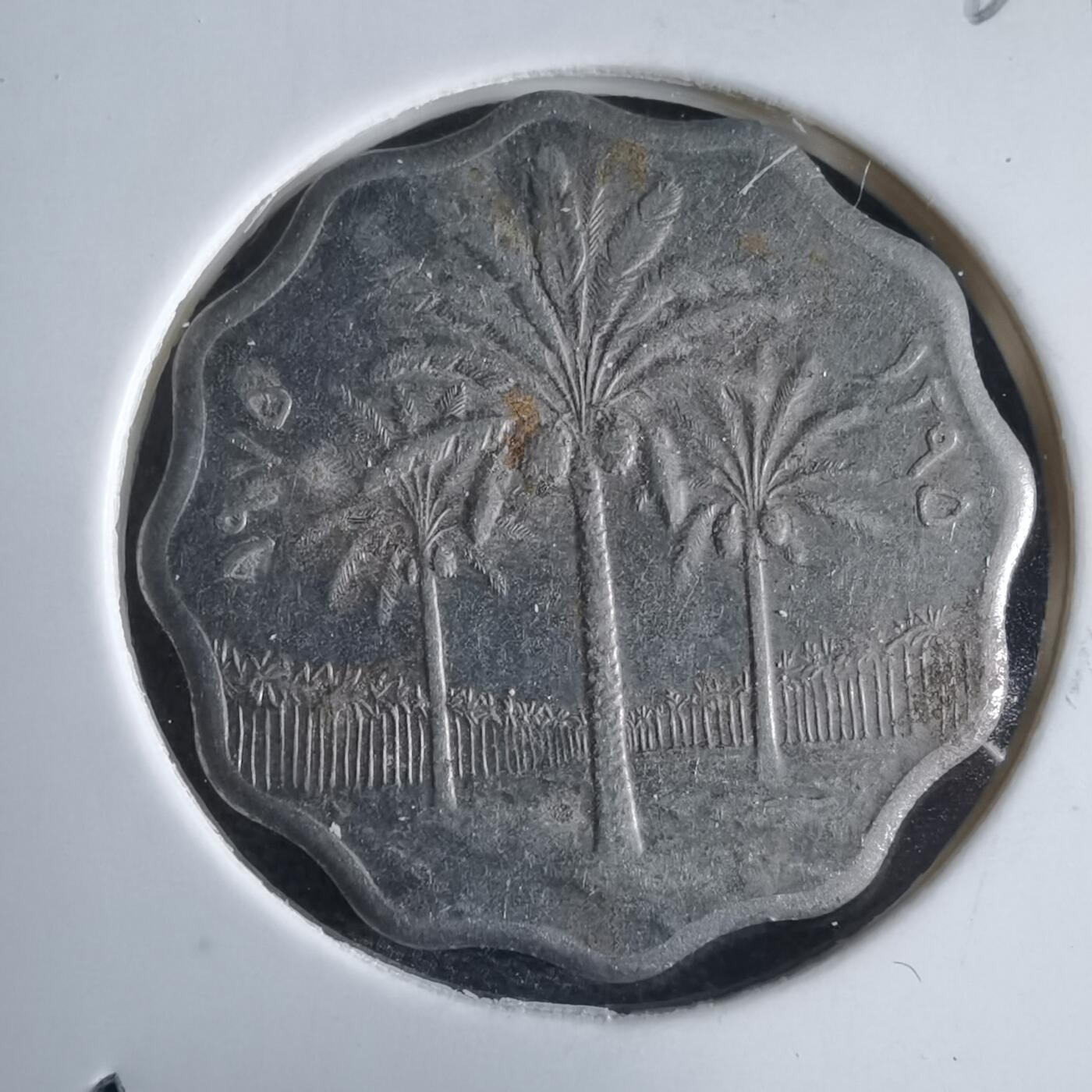 沼泽如烟--第969场 伊拉克