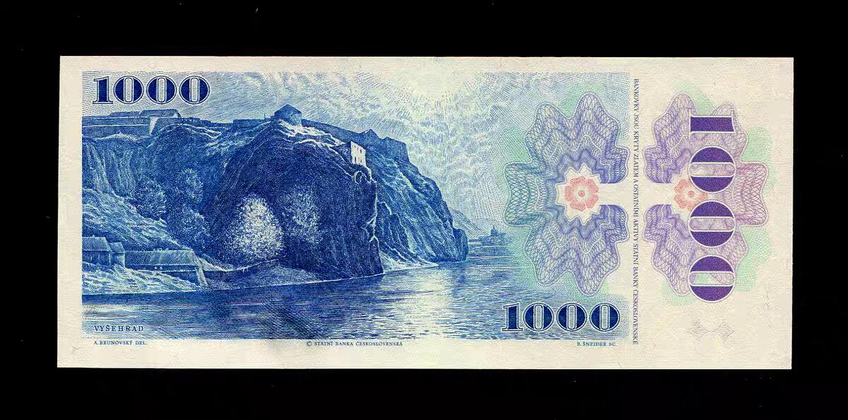 1月21号晚上8点 外国纸币自动截拍第10场