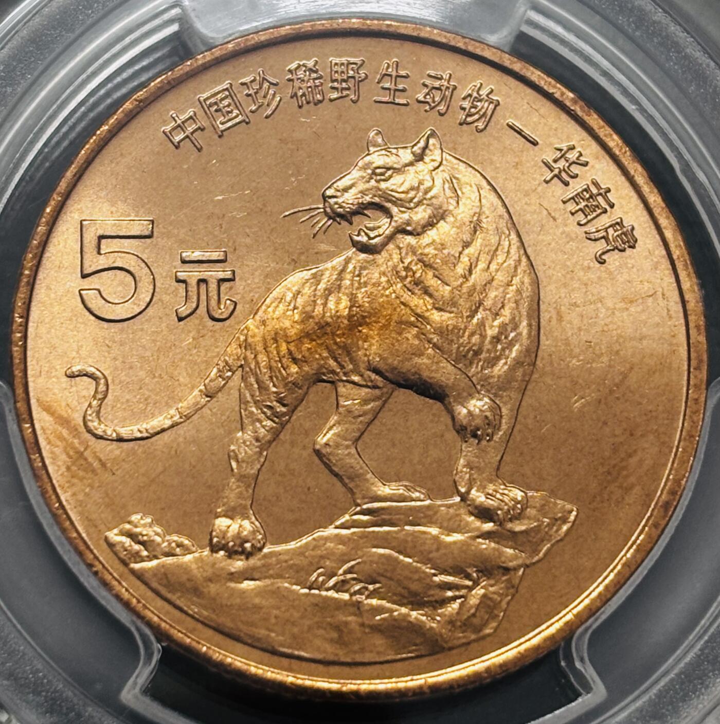 文馨钱币收藏 2026新年第四场（第 290 场）【长期接代拍品】 PCGS 评级 MS67RD1996 年中国珍稀野生动物华南虎五元纪念铜币，原铜光满状态