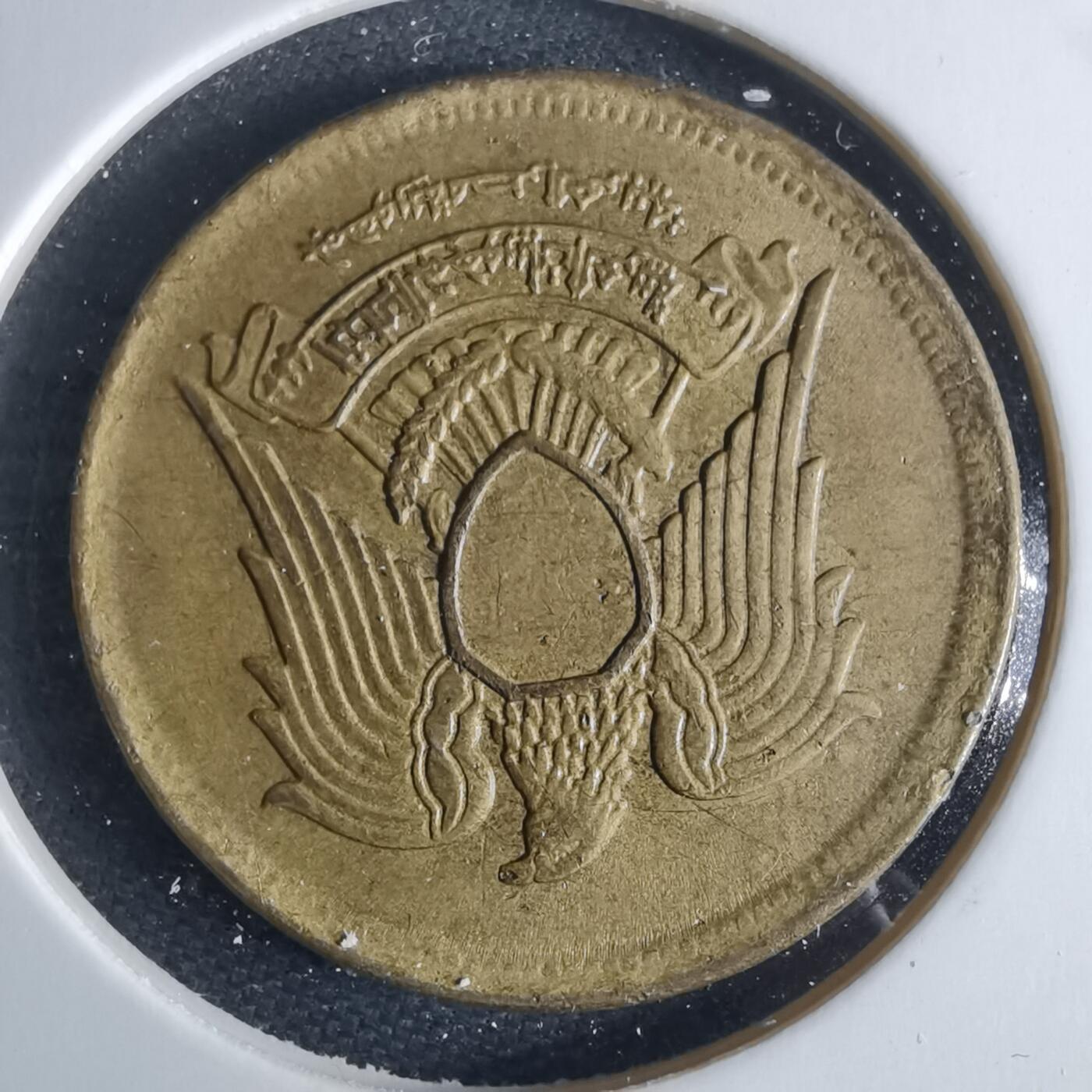 沼泽如烟--第970场