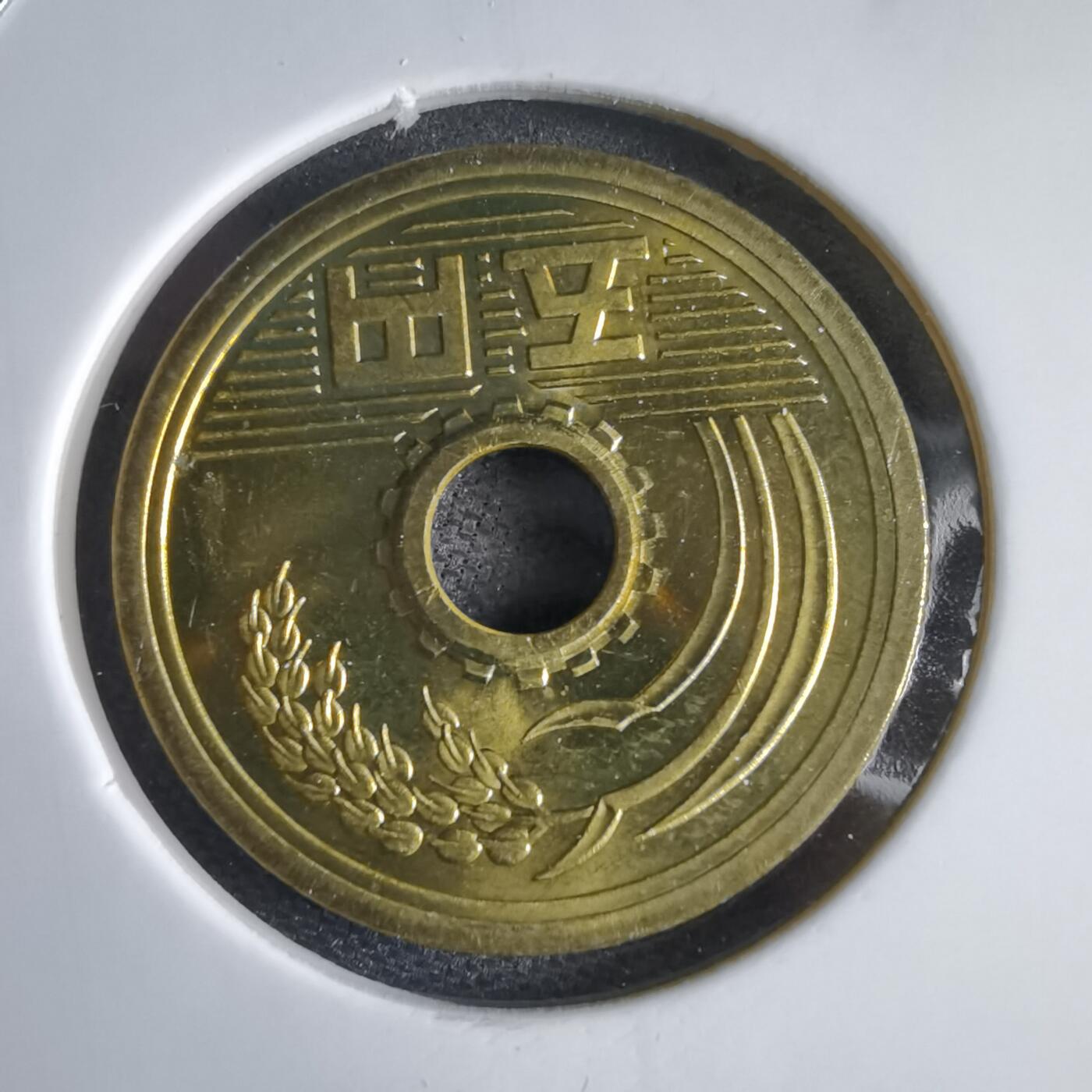 沼泽如烟--第969场 平成二十七年五元