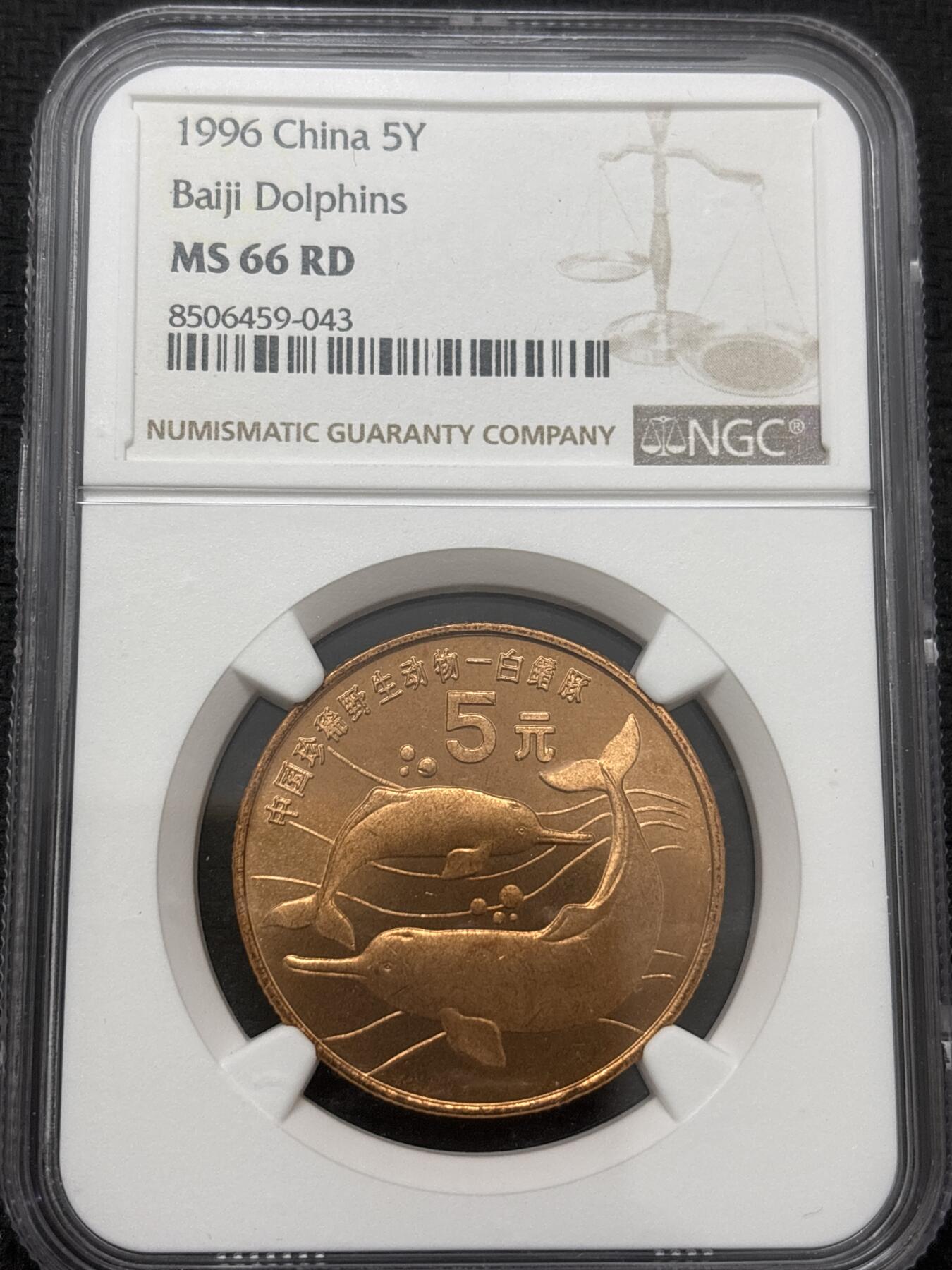 文馨钱币收藏 2026新年第四场（第 290 场）【长期接代拍品】 NGC 评级 MS66RD1996 年中国珍稀野生动物鮨豚，原铜光满状态