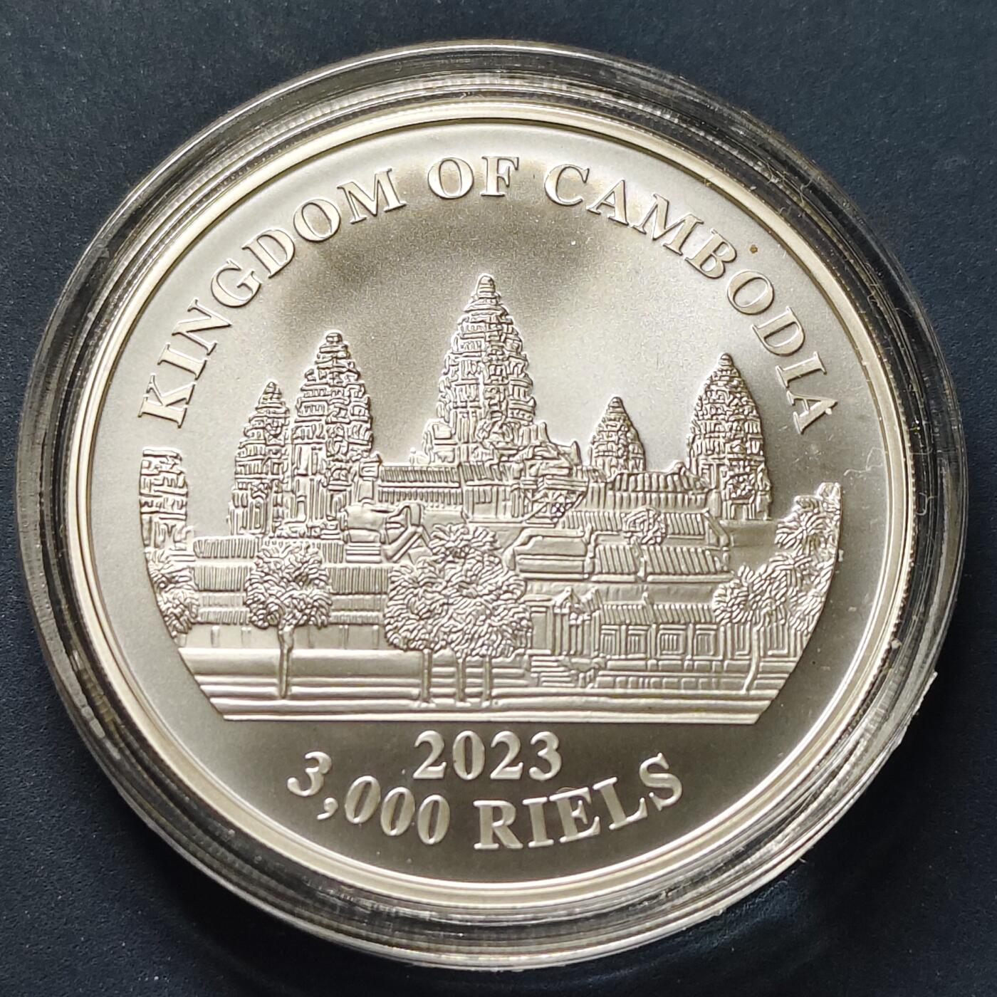 【全场包邮】纯粹捡漏拍497场-持续更新中 柬埔寨