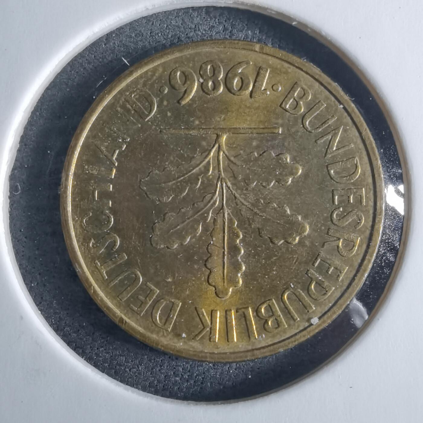 沼泽如烟--第970场