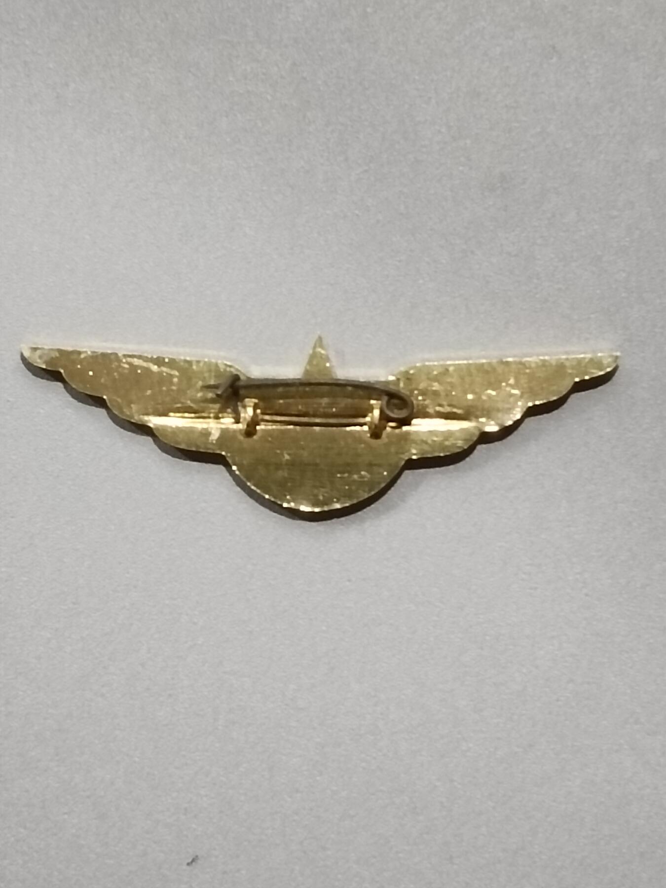 迎新年徽章专场-历代徽章21 鲁迅纪念章