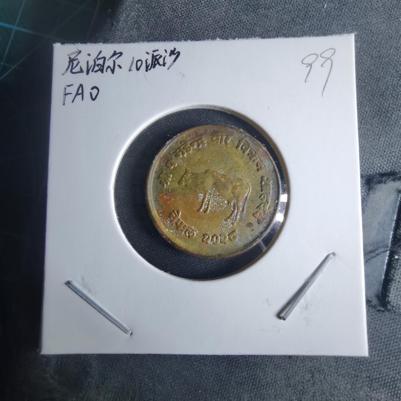 沼泽如烟--第970场 尼泊尔10派沙FAO