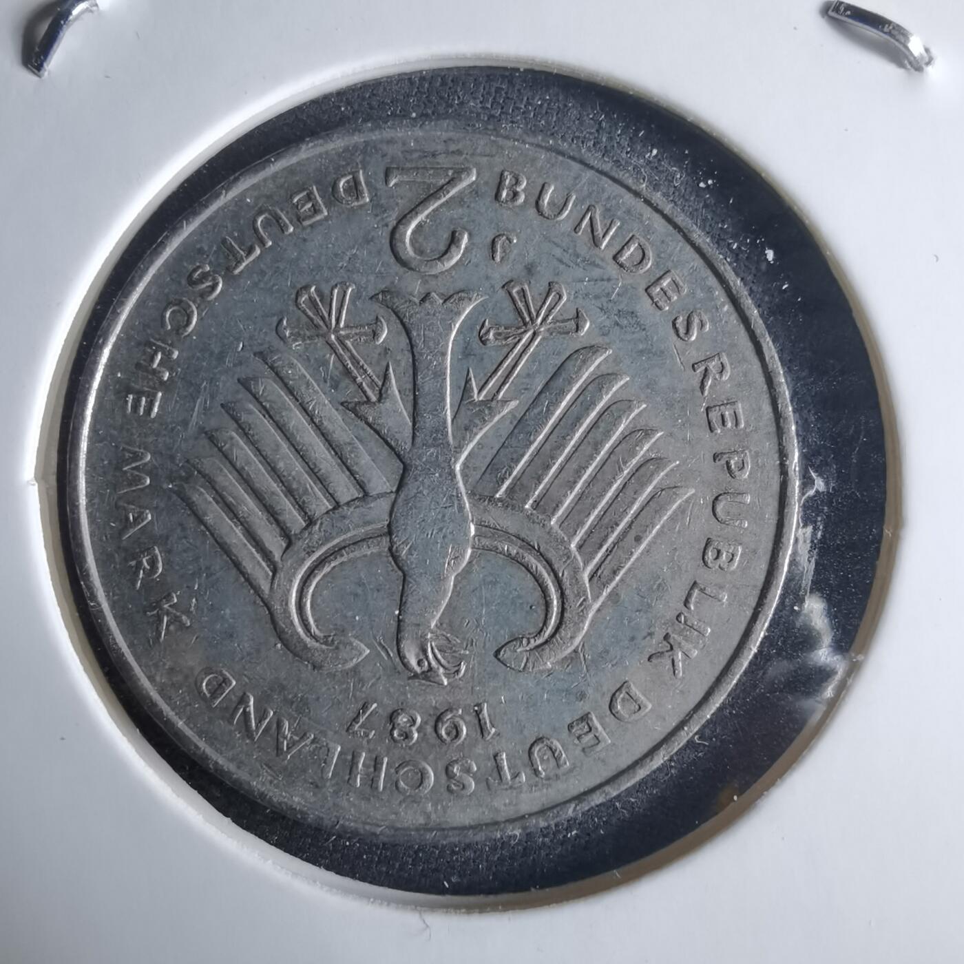 沼泽如烟--第970场