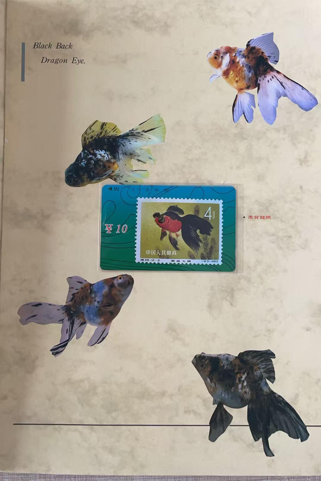 《卡拍》第343期拍卖1月24日晚22：10时延时截拍 甘肃田村卡《金鱼邮票》十二全新卡带册，上品。