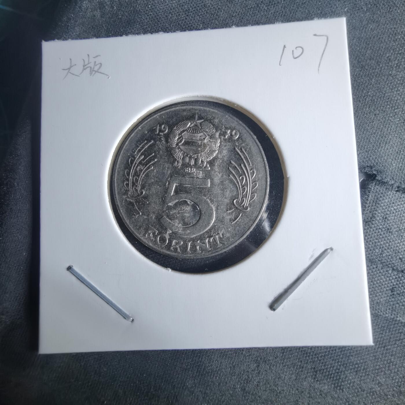 沼泽如烟--第970场