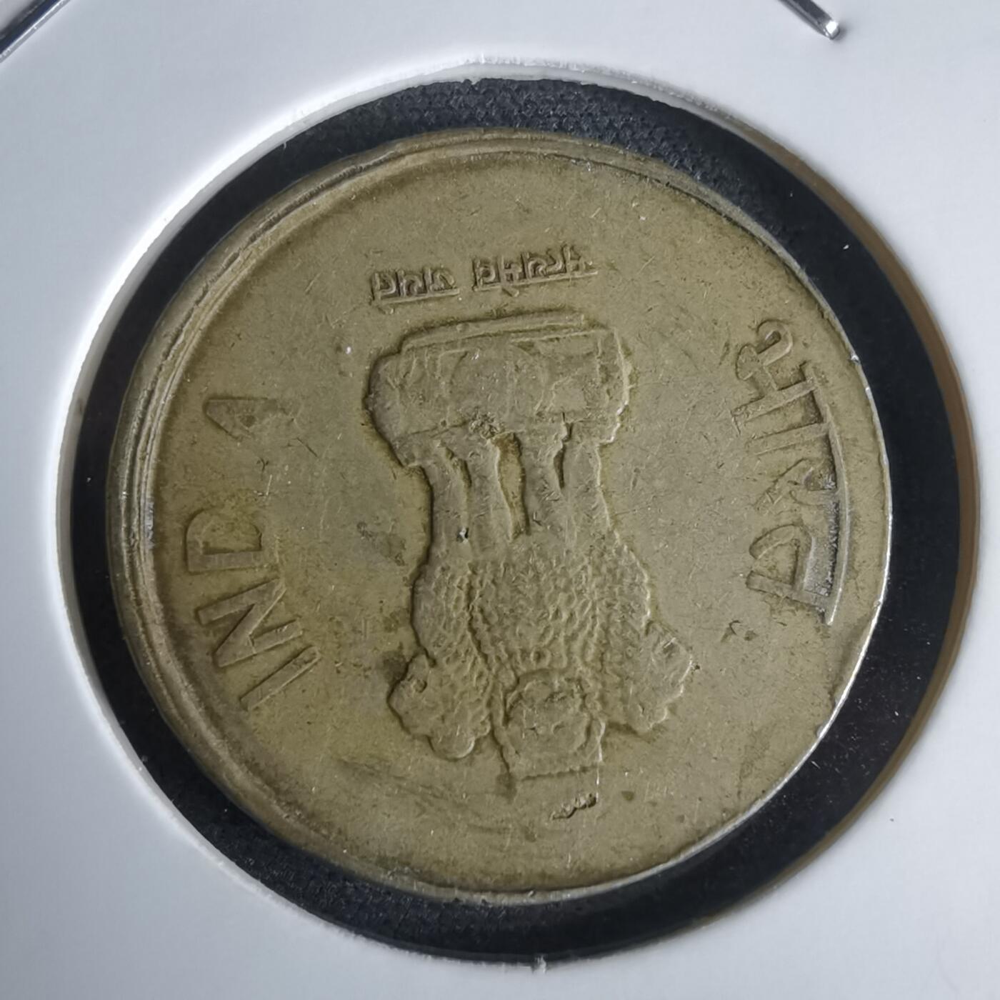 沼泽如烟--第969场