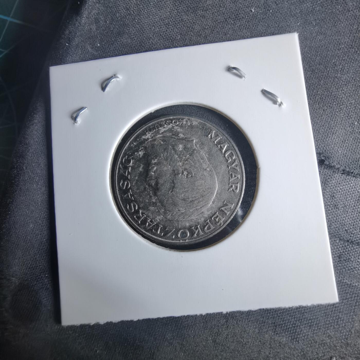 沼泽如烟--第970场