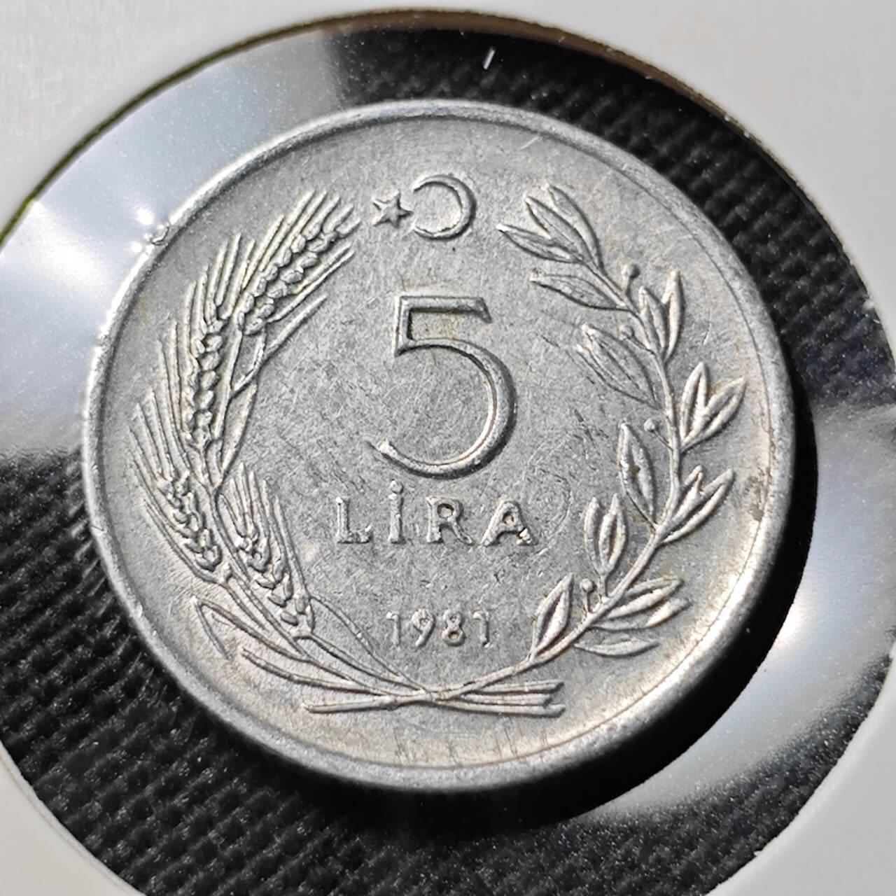 KK钱币收藏小铺  第388期  2月预留时间 周末发货