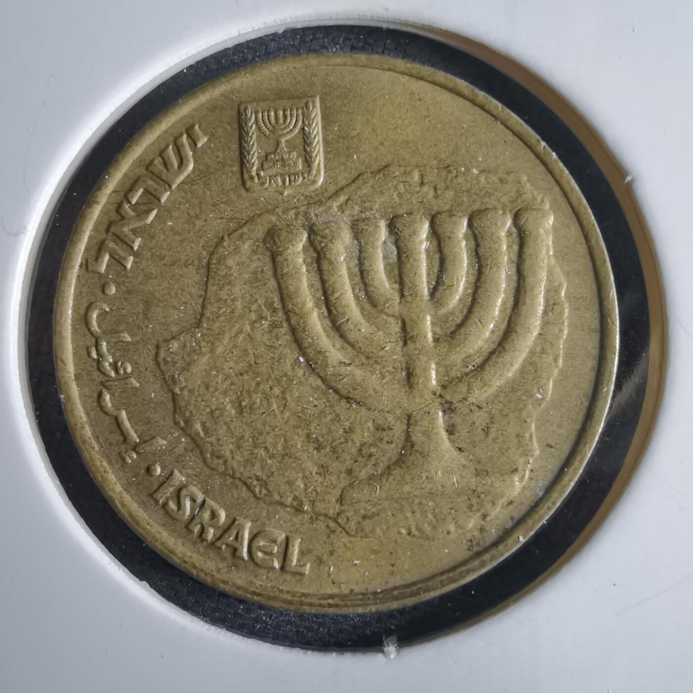 沼泽如烟--第969场