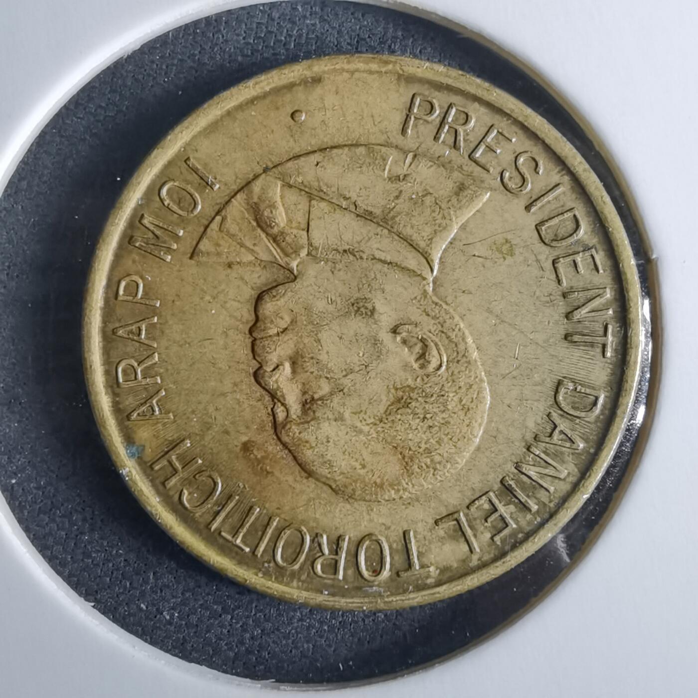 沼泽如烟--第970场