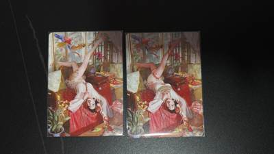 玉楼春卡牌第一期 - 燎原妖姬传 刷子 人间传 李桂姐 幻彩双服饰