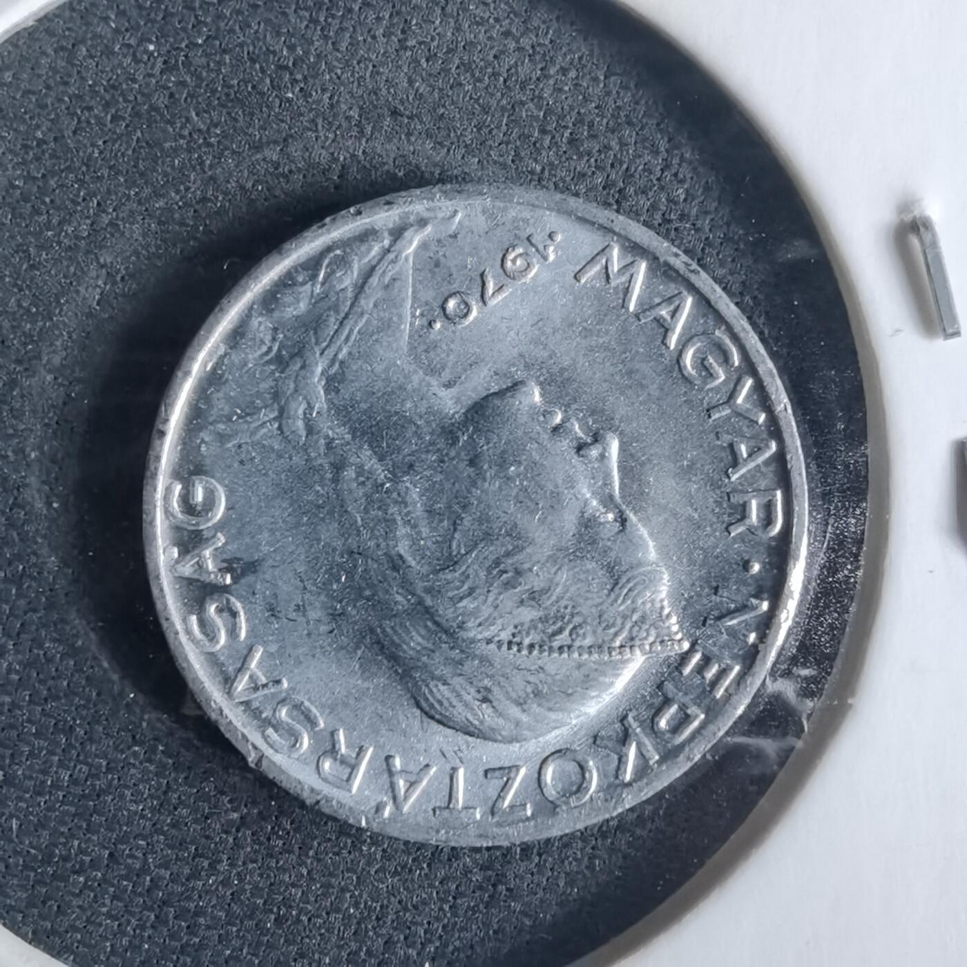 沼泽如烟--第970场