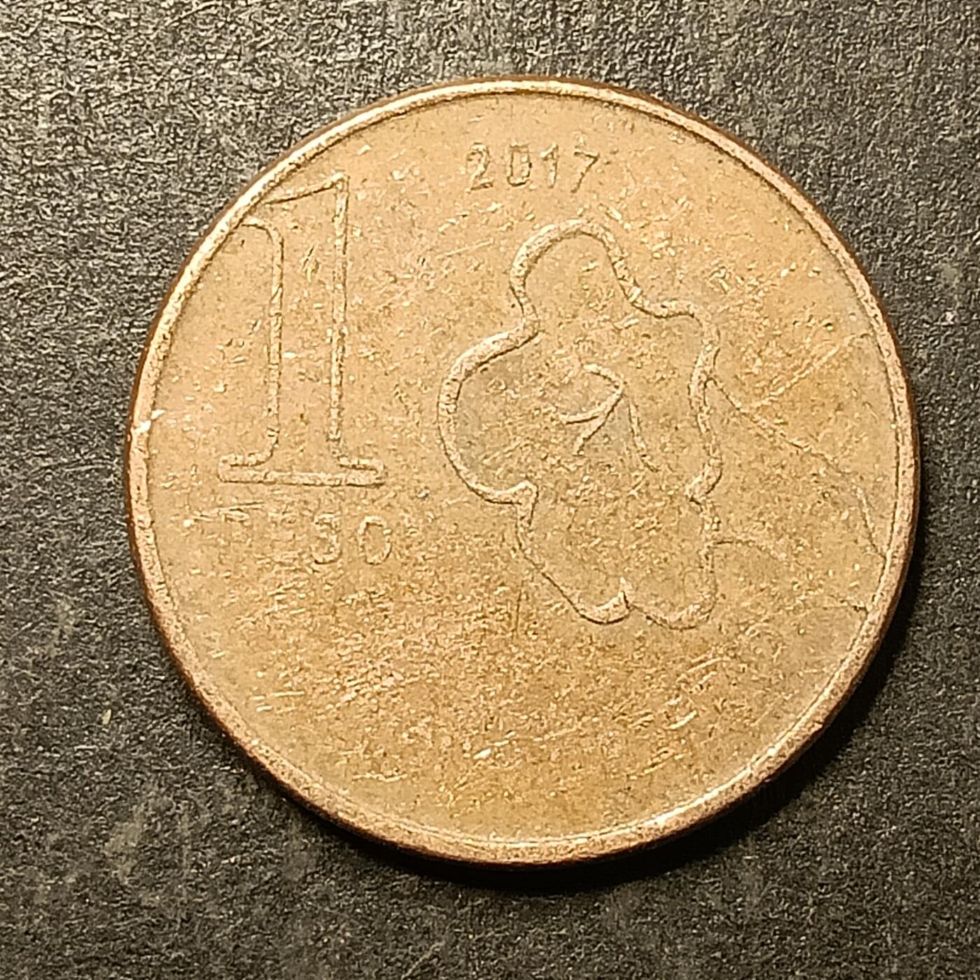 逸泉钱币2026A第五场A各国纸币沙俄散币纪念币系列A702-882 756 阿根廷新1比索