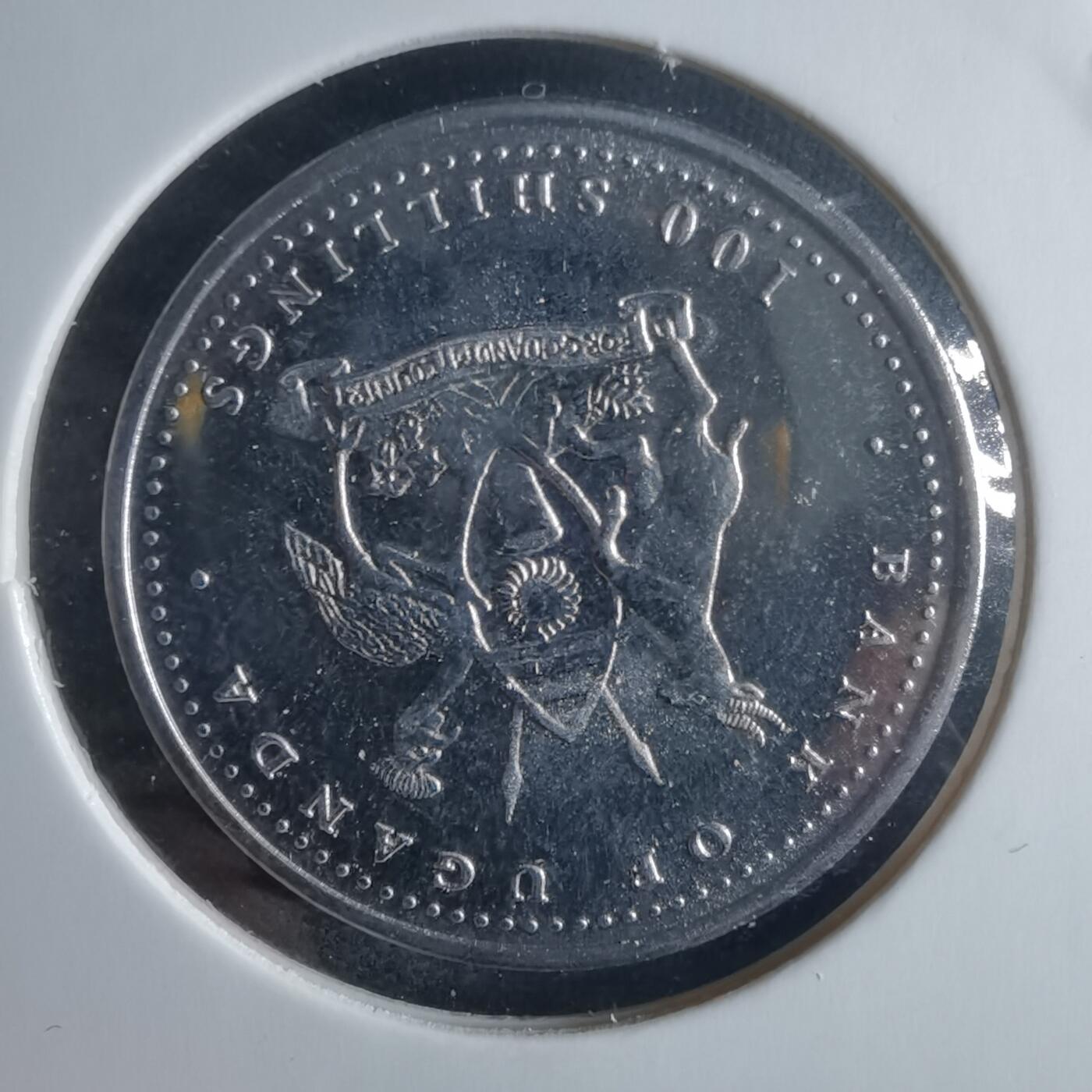 沼泽如烟--第970场 乌干达2004年100先令猪