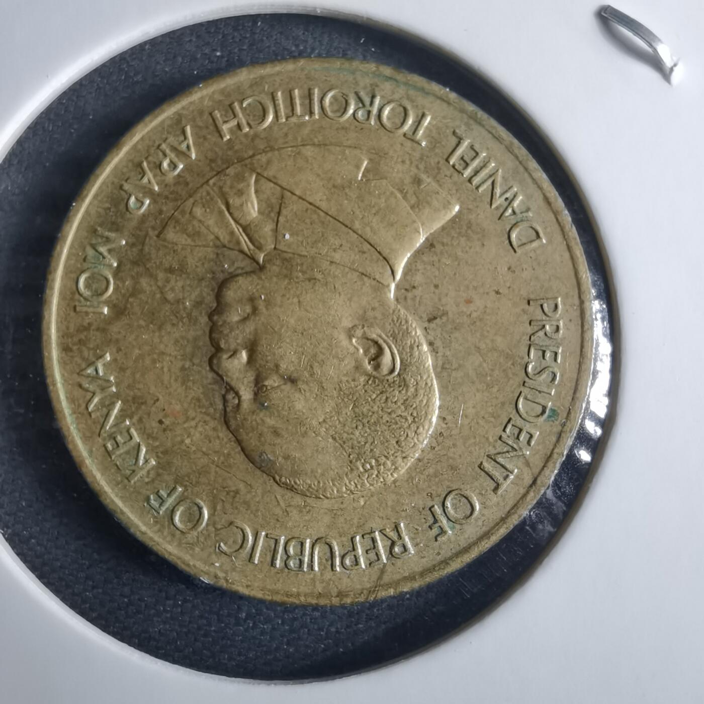 沼泽如烟--第970场