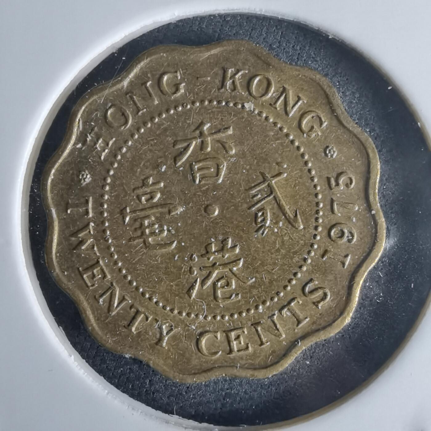 沼泽如烟--第971场