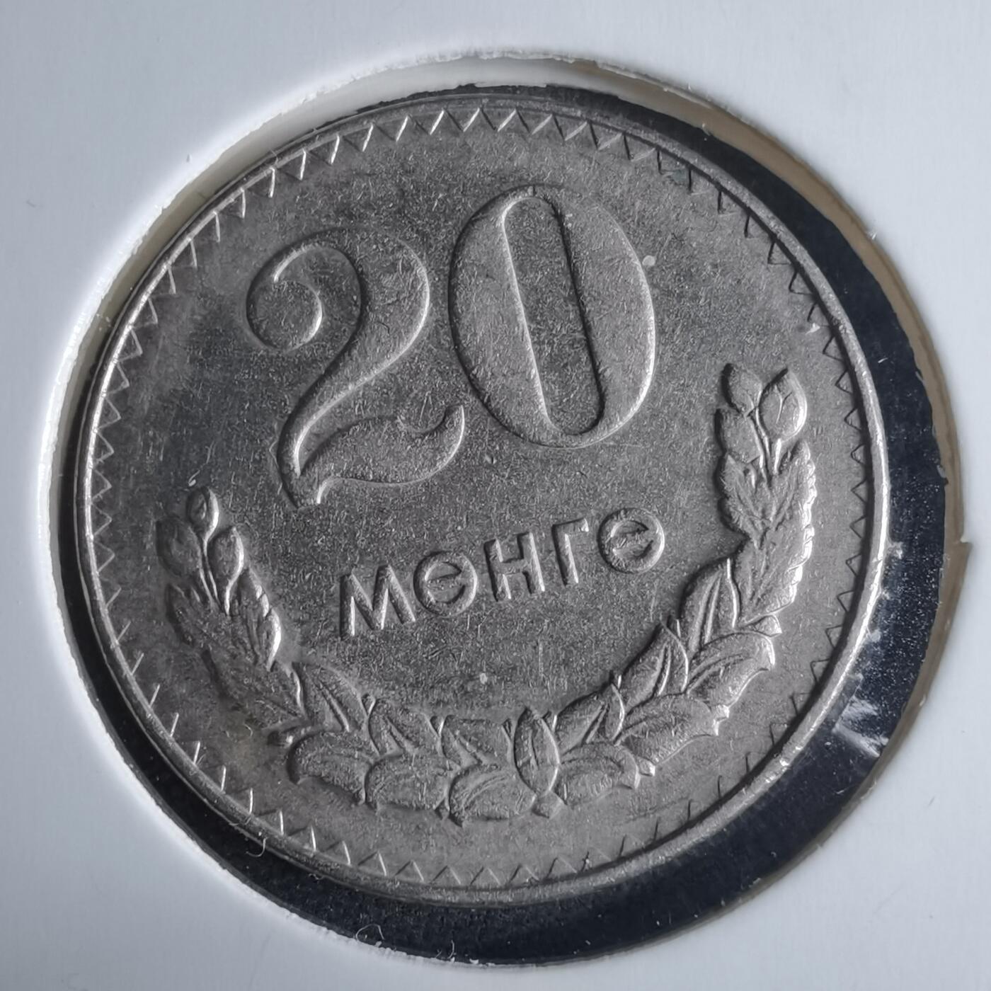 沼泽如烟--第970场