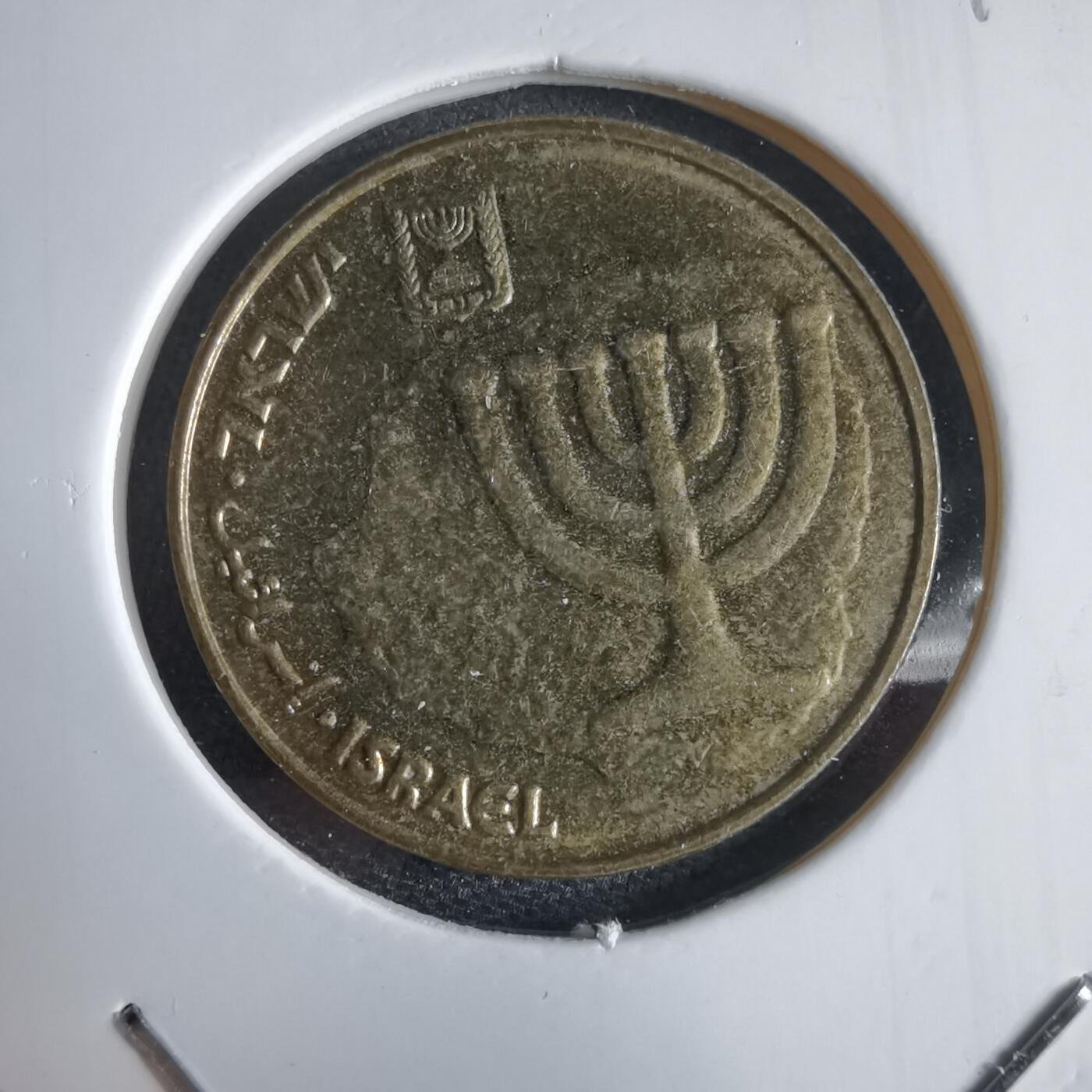 沼泽如烟--第969场