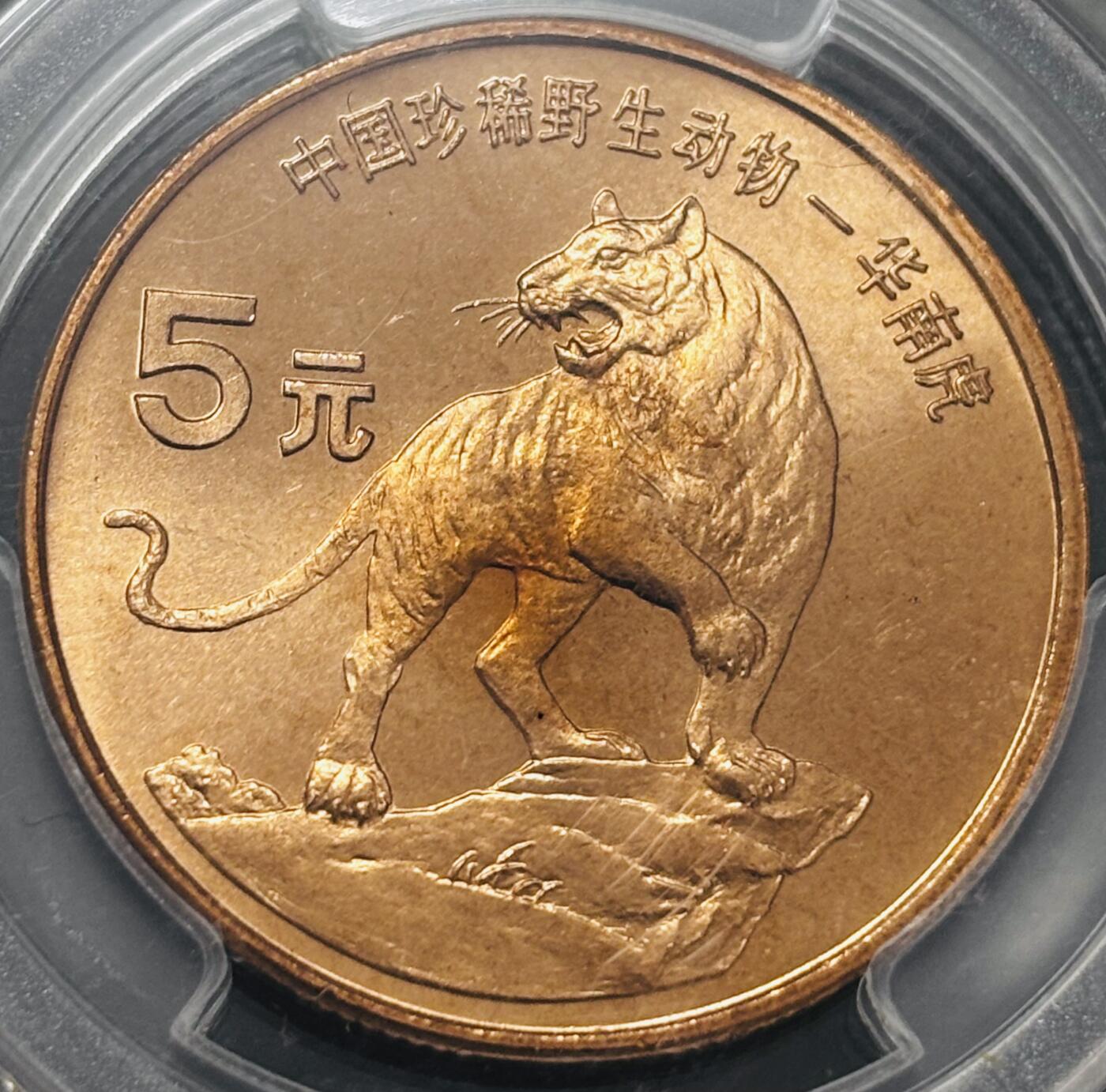 文馨钱币收藏 2026新年第四场（第 290 场）【长期接代拍品】 PCGS 评级 MS67RD1996 年中国珍稀野生动物华南虎五元纪念铜币，原铜光满状态