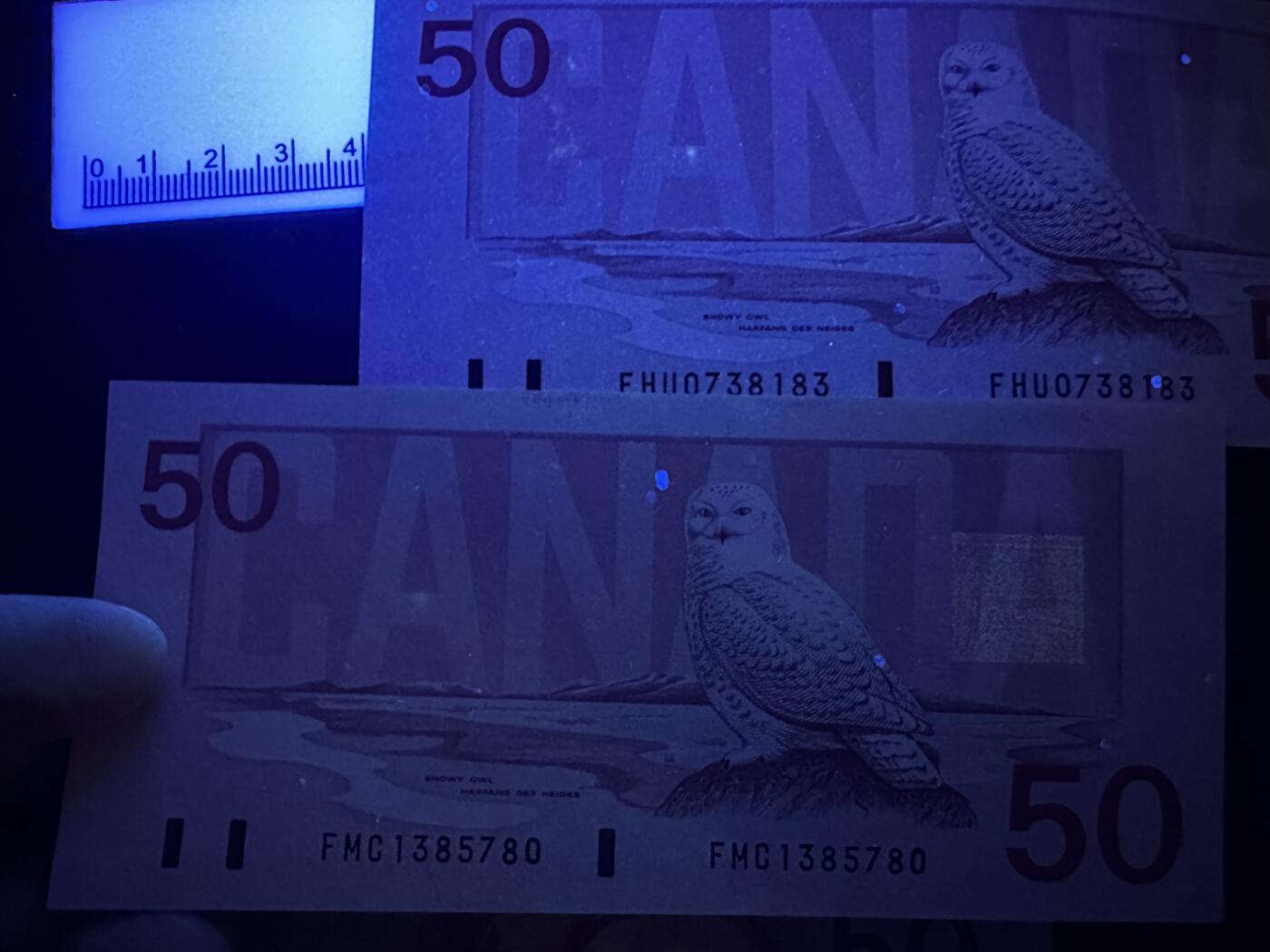 《外钞收藏家》第六百零四期（精品场）（本平台长期征集拍品、欢迎藏友们联系合作） 加拿大鸟版50加元 四张一起 四个签名 全新UNC 其中1张有压印 有2张有轻微潮点