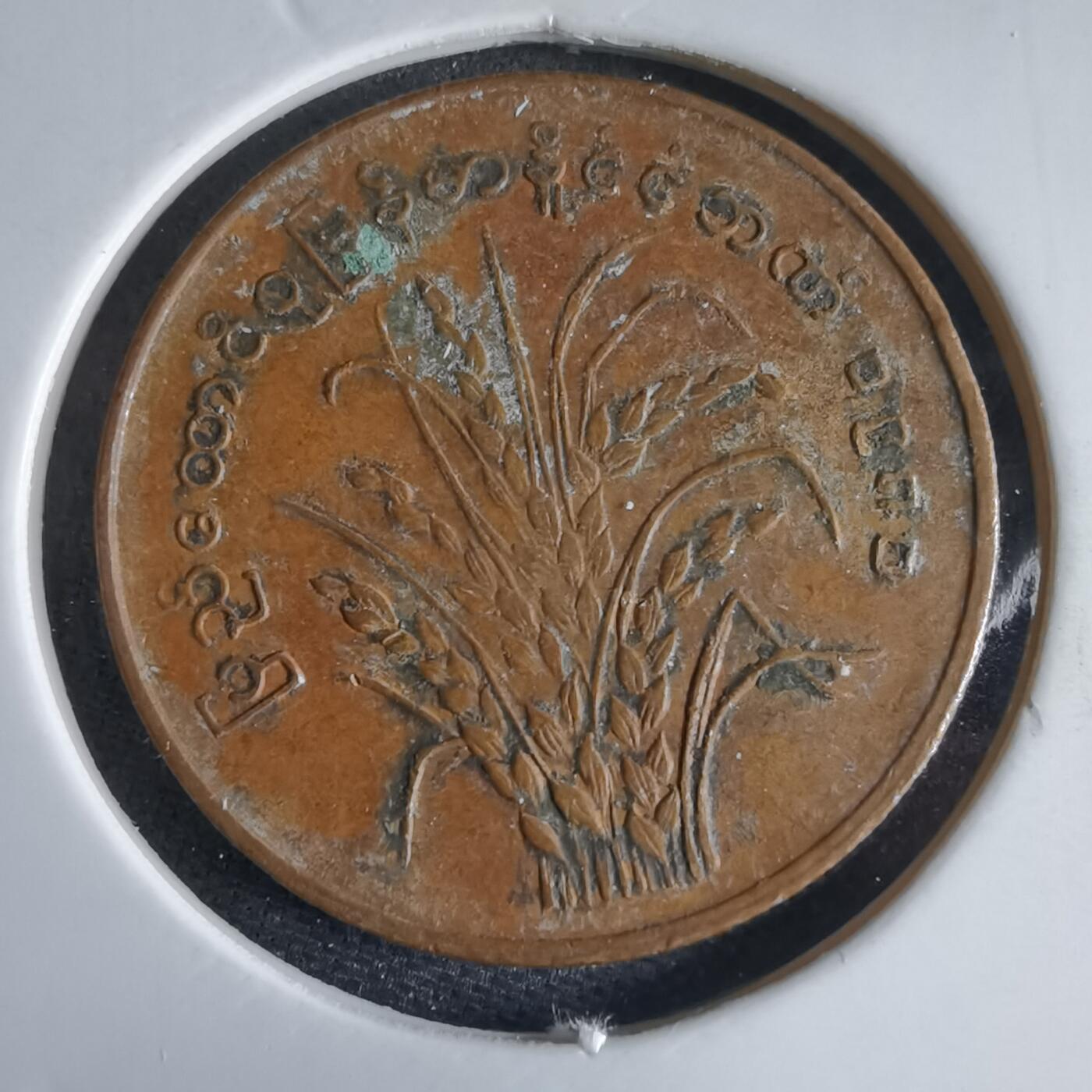 沼泽如烟--第969场 缅甸