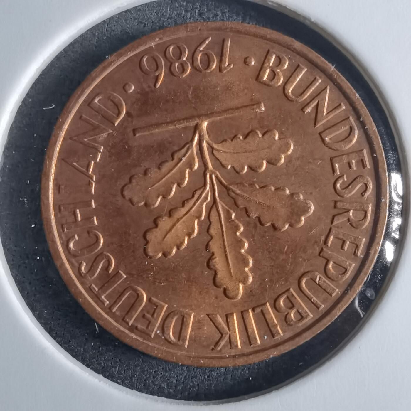 沼泽如烟--第970场