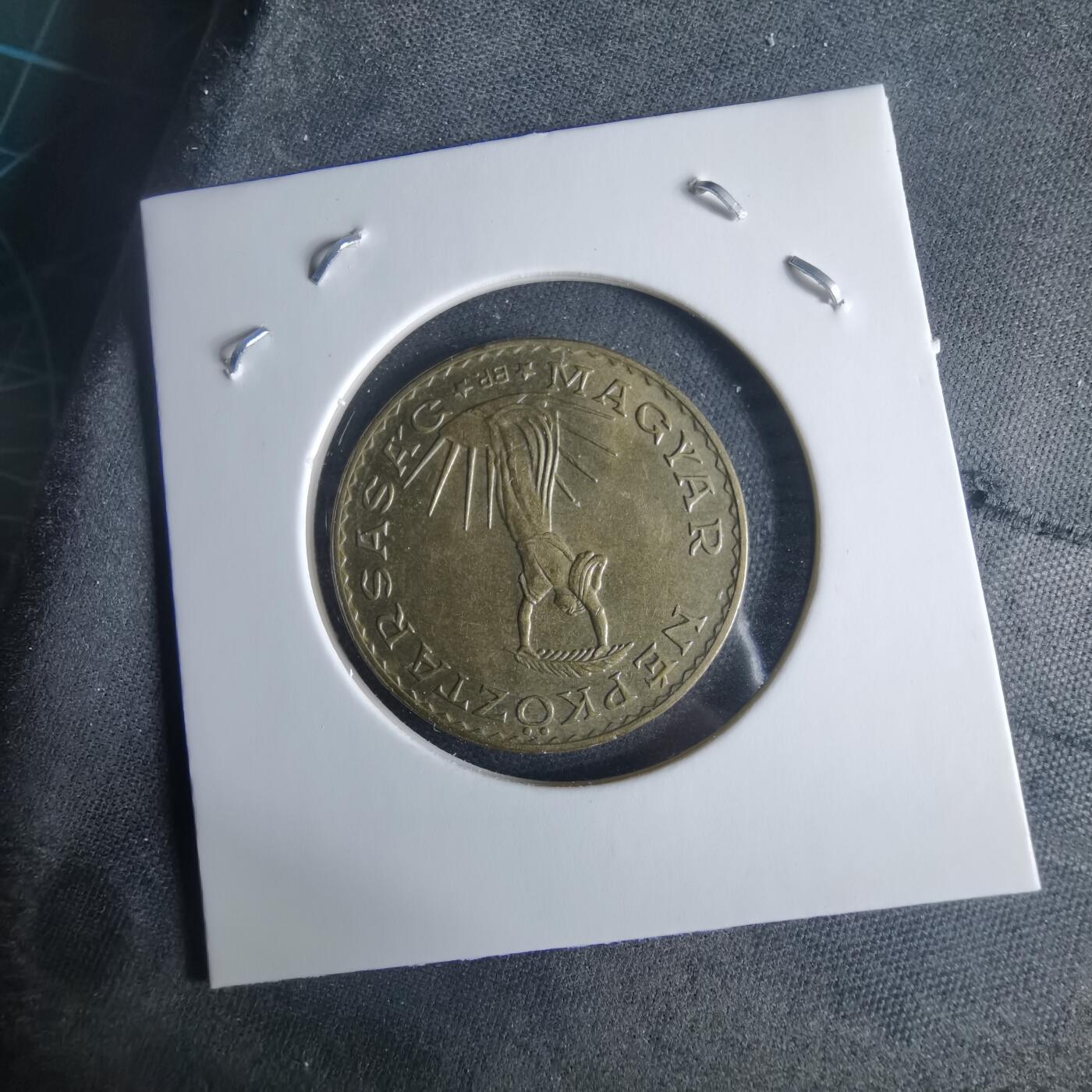 沼泽如烟--第970场