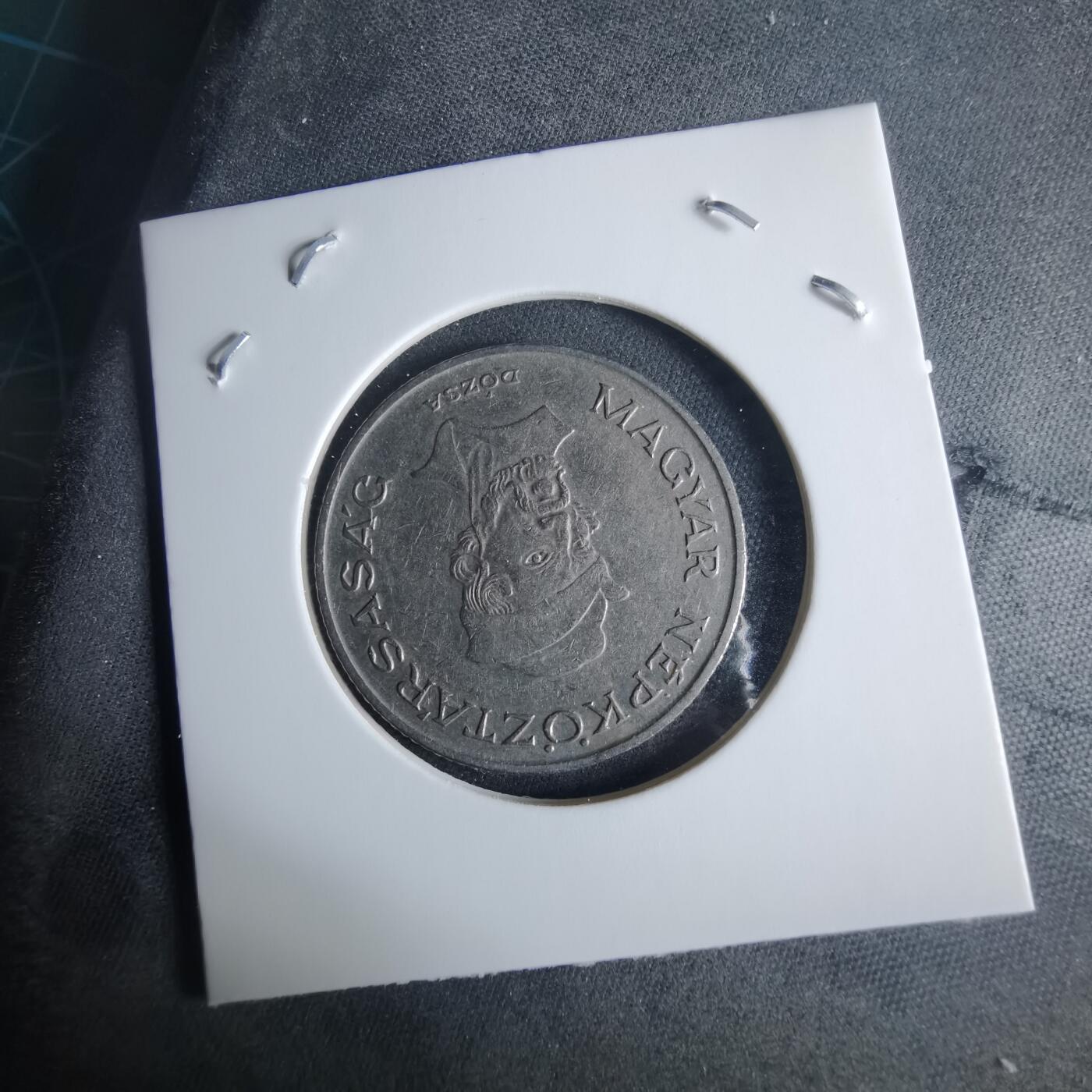 沼泽如烟--第970场