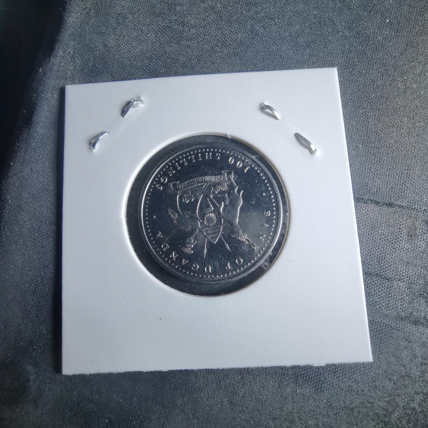 沼泽如烟--第970场 乌干达2004年100先令猪